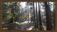 magic forest 3 framed-x